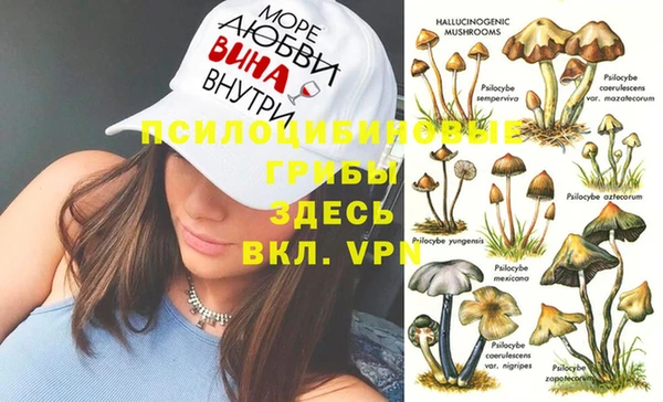 прущая мука Алзамай