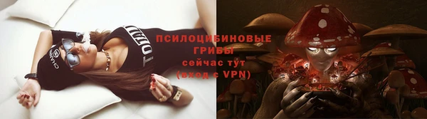 экстази Алексин