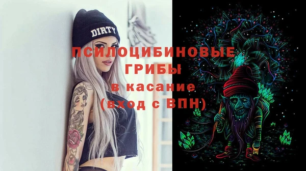шишки Алексеевка