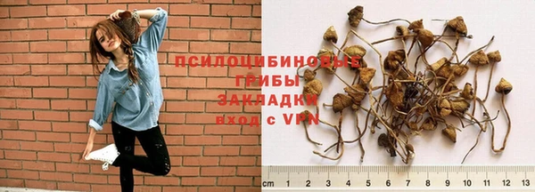 прущая мука Алзамай